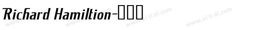 Richard Hamiltion字体转换